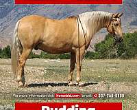 Thumbnail v