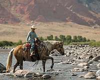 ranch-work-quarter-pony