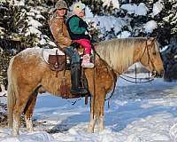 roping-quarter-pony