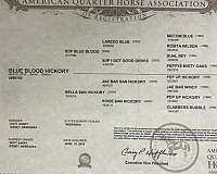 working-cattle-quarter-horse