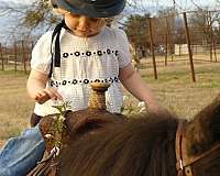 kid-safe-pony