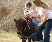 playday-pony
