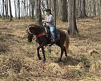 husband-safe-horse-rocky-mountain