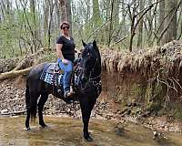 family-horse-kentucky-mountain