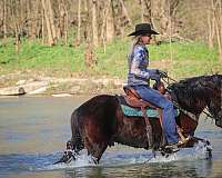 native-costume-fell-pony