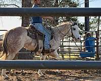 colorado-mare
