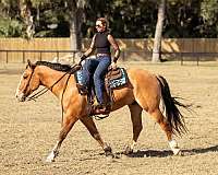 jumping-draft-horse