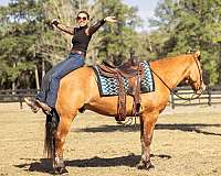 kid-safe-draft-horse