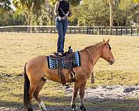 ranch-work-draft-horse
