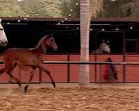 born-bay-will-grey-over-time