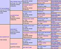 aqha-stallion-quarter-pony