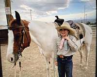 all-around-pinto-pony