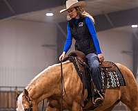 athletic-quarter-horse