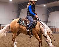 ranch-quarter-horse