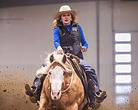 ranch-work-quarter-horse