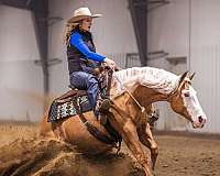 reining-quarter-horse