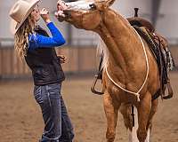 roping-quarter-horse