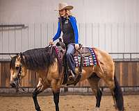 heading-quarter-horse