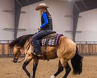 ranch-versatility-quarter-horse