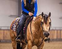 ranch-work-quarter-horse
