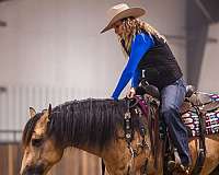 roping-quarter-horse