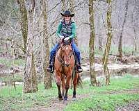 drill-team-quarter-horse