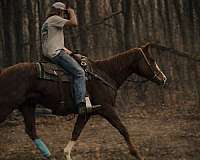 wwwdoublecreekfarmnet-pony