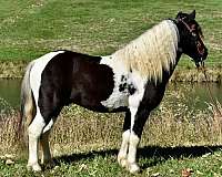 playdaypony-paint-pony