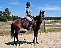 blaze-horse