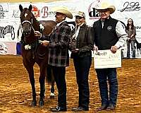 star-back-right-pastern-white