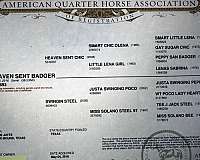 sorrel-dark-spot-between-eyes-horse