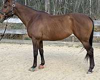 no-alley-issues-mare