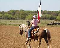grulla-working-pony