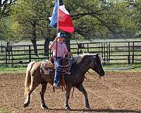 12-hand-grulla-pony
