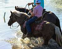 athletic-pony