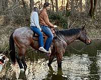 roping-quarter-horse