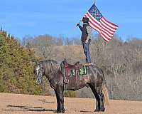 ranch-versatility-draft-horse