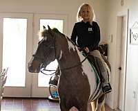 kid-safe-welsh-pony