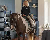 parade-welsh-pony