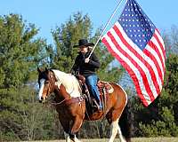 cross-draft-horse
