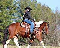 ranch-versatility-draft-horse