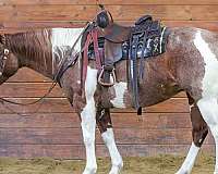 kid-safe-paint-horse