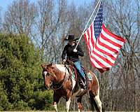 ranch-work-paint-horse