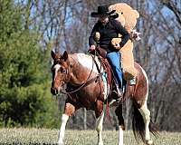 trail-paint-horse