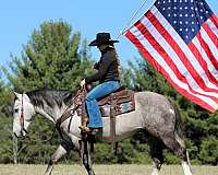 cross-draft-horse
