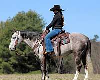 ranch-work-draft-horse