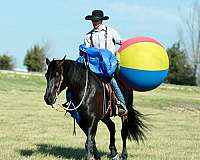 cross-draft-horse