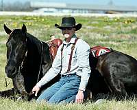 trail-riding-draft-horse
