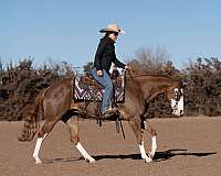flashy-quarter-pony