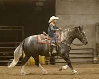 driving-draft-horse